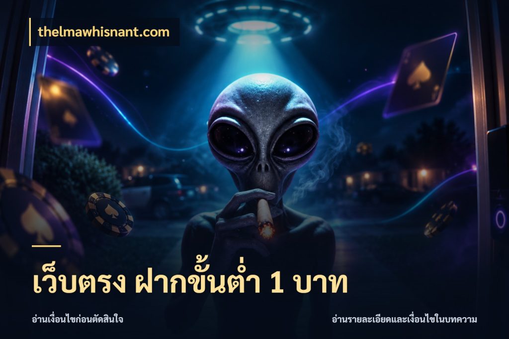 เว็บตรง ฝากขั้นต่ำ 1 บาท รู้จักจำนวนแต่ละแบบก่อนเลือกเกม ในมุม thelmawhisnant.com